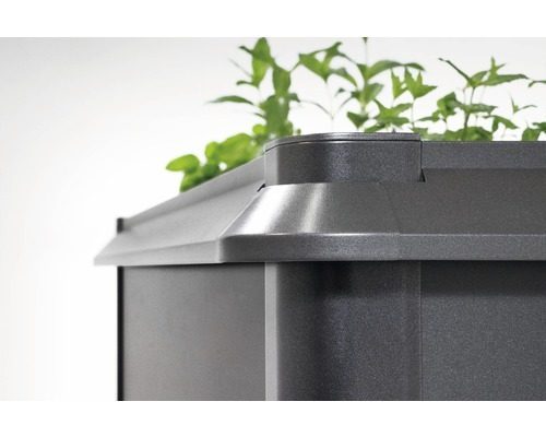 A dark grey snail protection placed on top raised flower bed with plants already planted inside.
