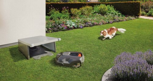 Robot mower garage with robot mower and dog on lawn