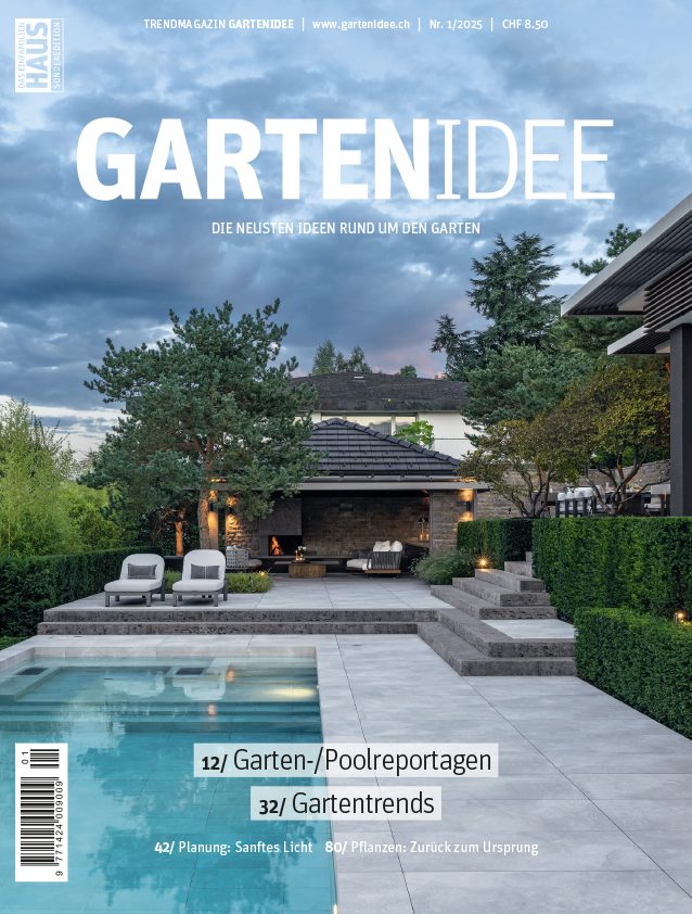 Gartenidee Pool mit Poolhaus